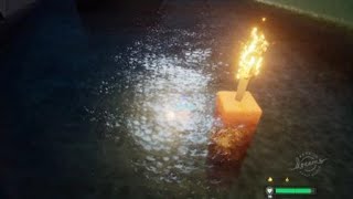 Fire and Torch Test