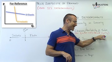 The Determinants of the Price Elasticity of Demand