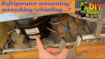 Whirlpool Refrigerator making squealing/screaming sound