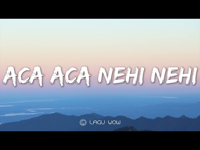 DADIDO - Aca Aca Nehi Nehi (Lyrics) class=