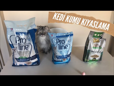 Hangi Kedi Kumu En Iyisi Nasil Secelim Topaklanan Kum Kristal Kum Veya Cam Pellet Kum Mu Youtube