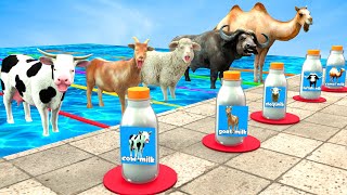 Mystery Pool Challenge With Cow Buffalo Goat Camel Sheep Don't Choose The Wrong Milk With Cow Video screenshot 1