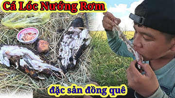 Món Cá Lóc Nướng Rơm Quá Ngon , Khôi Ăn Còn Bộ Xương Luôn | Vinh Vlog