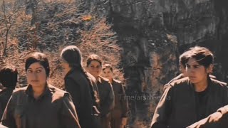 Berivane - Tu Sembola Kurdistane 