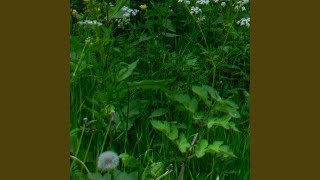 Rajaldoi Di Antara Kata