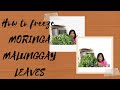 How to freeze MORINGA /MALUNGGAY LEAVES