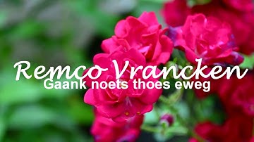 Remco Vrancken - Gaank noets thoes eweg