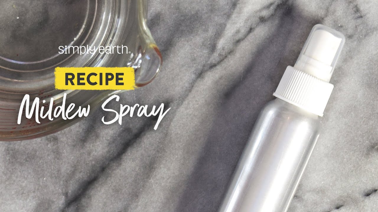 DIY Anti-Mold Spray  Essential oils room spray, Mold spray, Essential oil  diffuser blends recipes