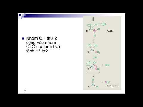 Video: Trong 4 loại phân tử hữu cơ nào có chứa nitơ?