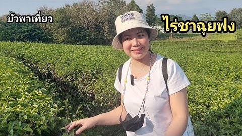EP.8 พาเที่ยวไร่ชาฉุยฟง#เชียงราย แบบ One Day Trip |บัวพาเที่ยว