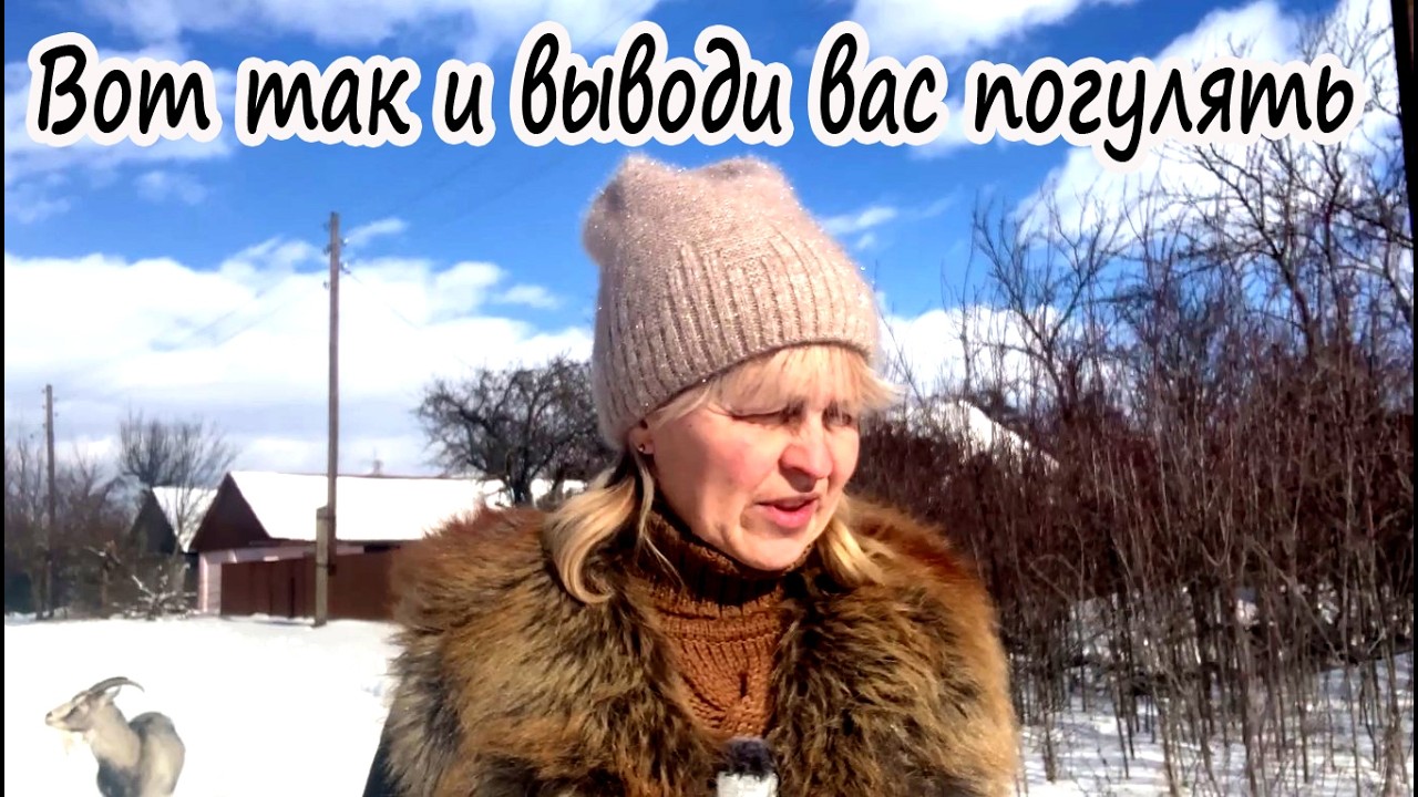 ЗИМНЯЯ ПРОГУЛКА С КОЗАМИ | ЖИЗНЬ НА КРАЮ СЕЛА У ЛЕСА. №18