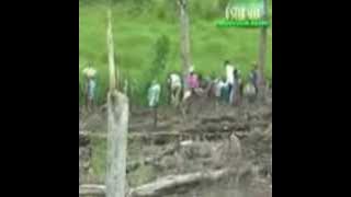 Dayak Tajau  Nugau di kampung