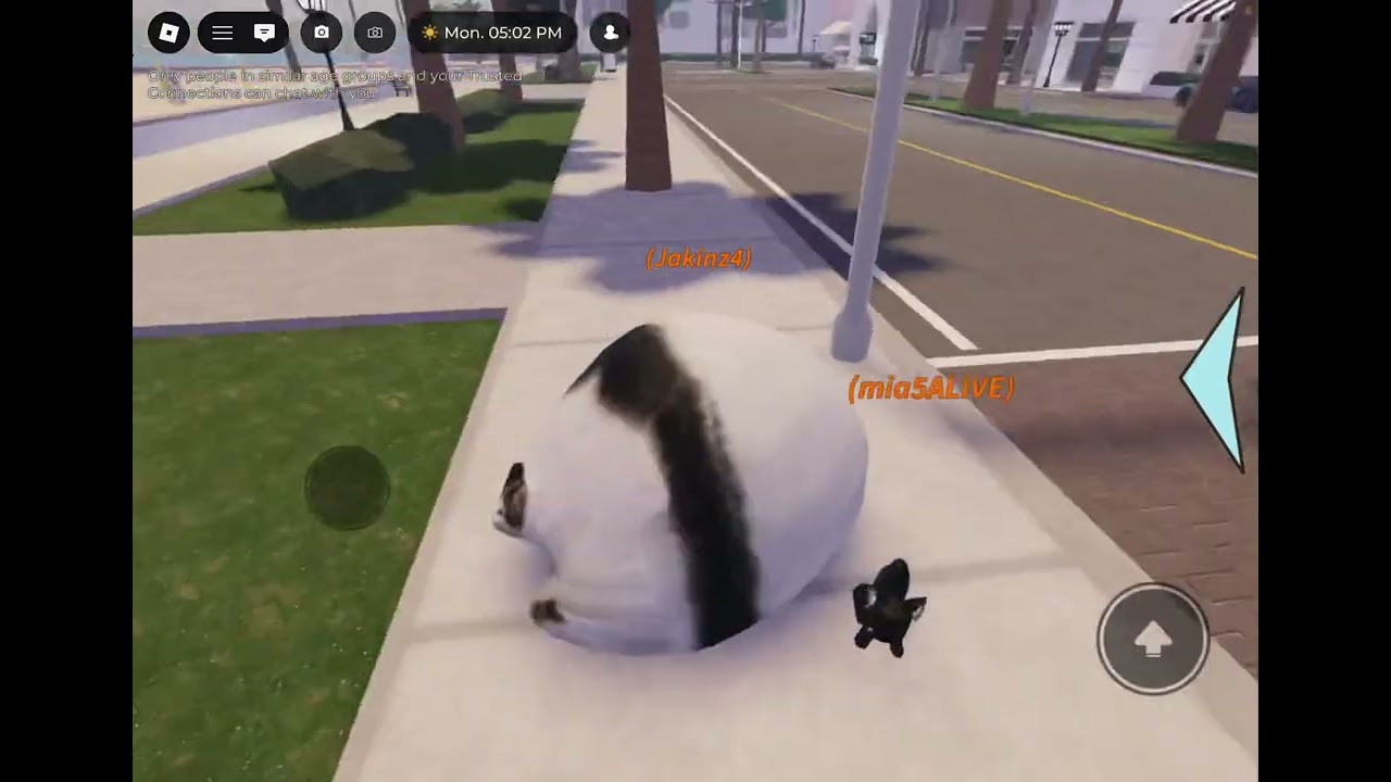 Funny rp with my friend!! 