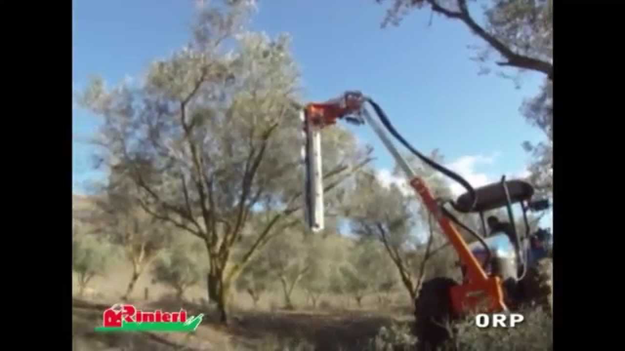 Videostill: Schijvensnoeier in actie