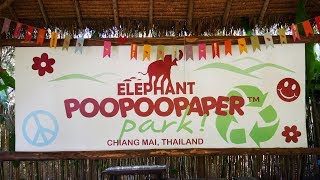 We Made Paper... OUT OF POOP!: Poo Poo Paper Park, Chiang Mai