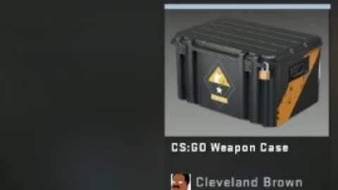Getting the CS:GO WEAPON CASE 1 as a drop (100$)