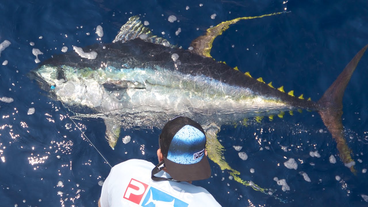 MARLIN MAGIC II KONA BLUE MARLIN FISHING YouTube