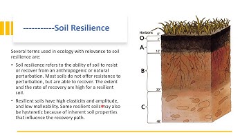 11  SES 716 Soil Resilience