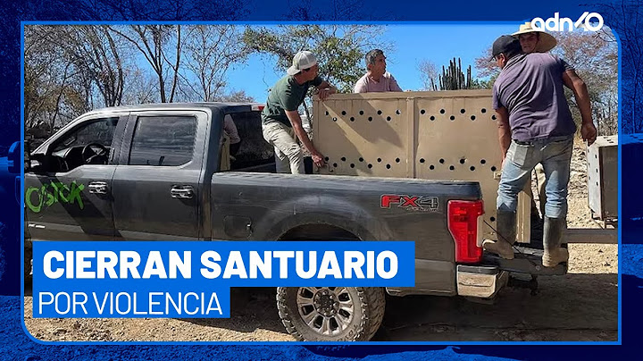 Cientos de animales en Culiacán serán trasladados a Mazatlán por inseguridad