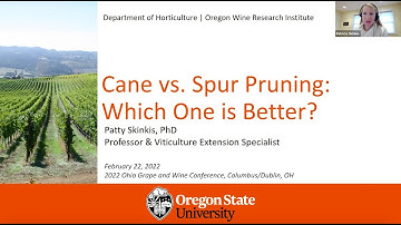 Cane vs. Spur Pruning: Which One is Better?, Dr. Patty Skinkis | 2022 Ohio Grape and Wine Conference