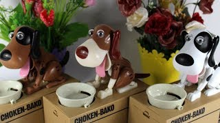 Doggy Coin Bank