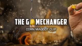 The Gamechanger Corn Maggot Clip