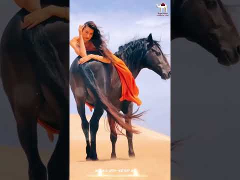 عمر المزداوي مازال بدري ياقمر خيمه بدويه ابلور جديدي