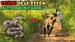 Video Lucu || Prank Ular Piton Bikin Panik || Edisi Terlucu Paling Ngakak 🤣🤣