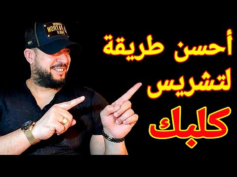 فيديو: هل يجب أن ينضم كلبك إلى نادي صحي؟