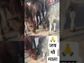 आज की गौ सेवा देखकर आपका दिल पिघल जाएगा 🐄❤️ #ViralShorts #Shorts
