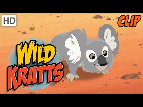 Wild Kratts - Exotic Wild Animals