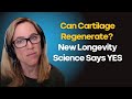 What New Research Says About Cartilage Regeneration and Joint Longevity