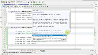 13 Java SE - JFrame Editar