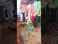 Mafia Industries Area Dog Catch #shortsfeed #shorts #short #youtubeshorts