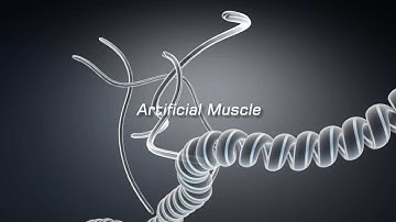 Fishing Line Artificial Muscles