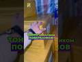 #карго #китай #бизнес