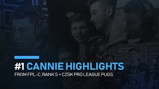 Cannie Highlights From The Highest Pug Leagues #1