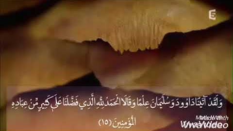 {وَلَقَدْ آتَيْنَا دَاوُودَ وَسُلَيْمَانَ عِلْمًا} دقيقة هادئة ومريحة للقلب مع القارئ#اسلام_صبحي😍