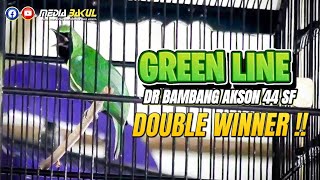 TEMBUS !! DOUBLE WINNER CUCAK HIJAU GREEN LINE screenshot 4