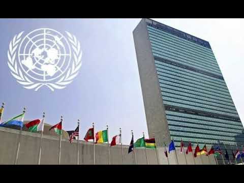 نظام الوظيفة المختلطة في منظمة الأمم المتحدة