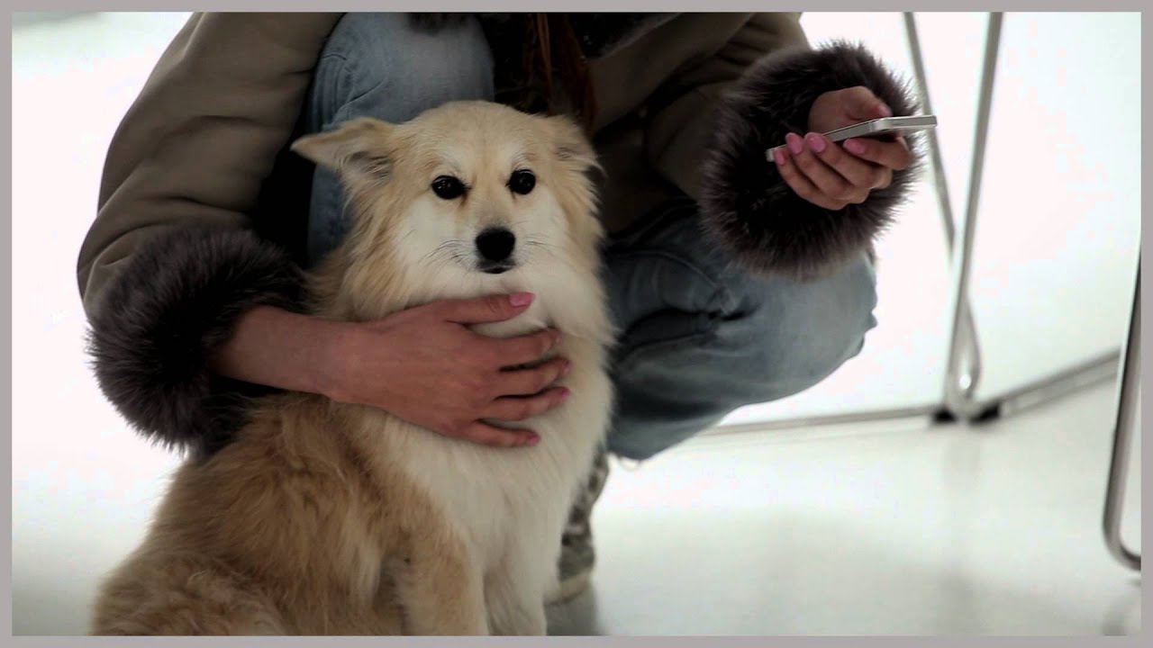 making of Marlino 2014/15