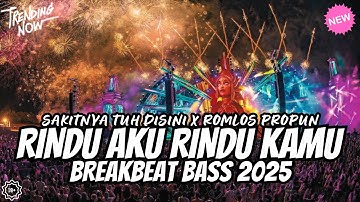 DJ I miss you x the pain is here breakbeat viral tiktok - dj breakbeat full bass 2025