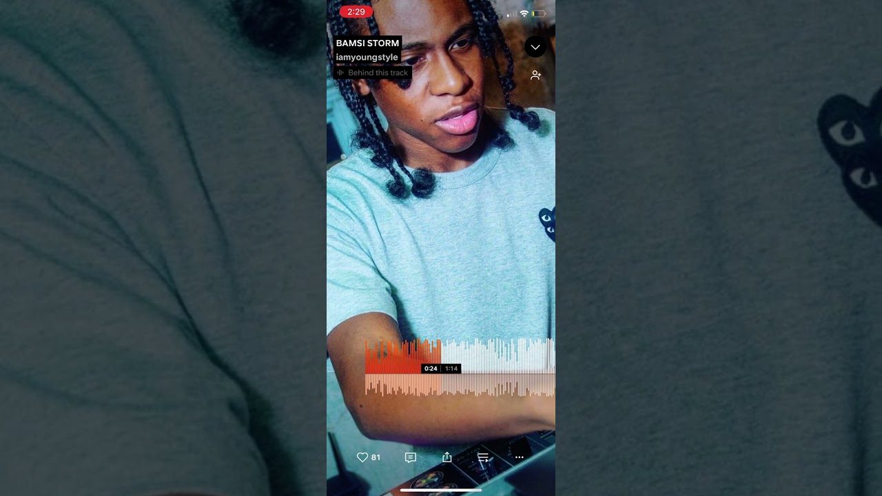 BAMSI STORM ZESS (These Girls)