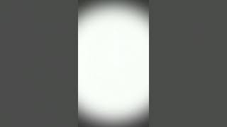 мои глазки