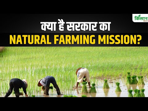 Sarkari Yojana: National Natural Farming से India के किसान होंगे मजबूत। Kisan India