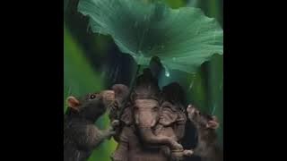 aathangara orathil arasamara vinayagar song