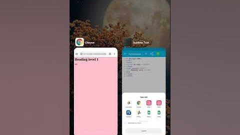 Introduction to HTML5 - Part 2 | Class 8 Computer Science