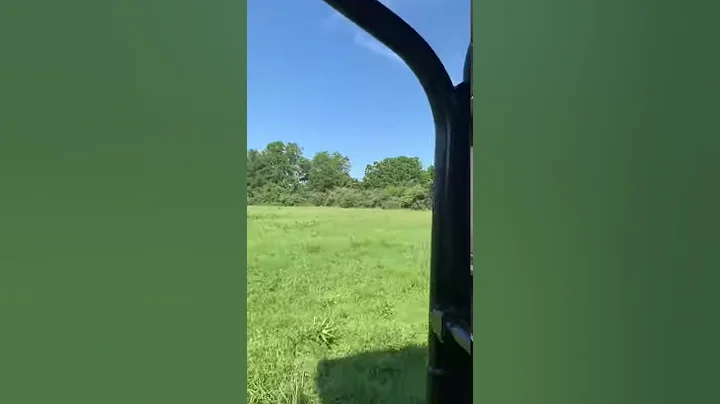 Field Video IMG 2656