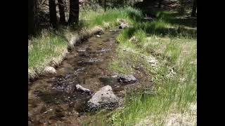 Lost Creek, Shasta County, California