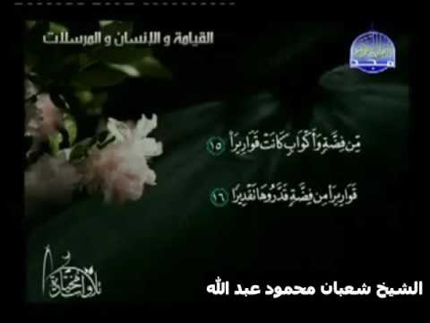 الشيخ شعبان محمود عبد الله سورالقيامه والانسان والمرسلات قرآن فجر رمضان  